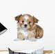 Cute Brown Puppy Wall Decal