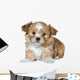 Cute Brown Puppy Wall Decal