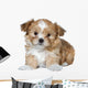 Cute Brown Puppy Wall Decal