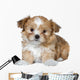 Cute Brown Puppy Wall Decal