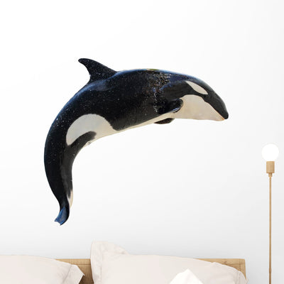 Leaping Killer Whale Orca Wall Decal shown on a wall