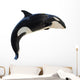 Leaping Killer Whale Orca Wall Decal