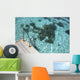 Scale Blue Lagoon Wall Decal