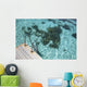 Scale Blue Lagoon Wall Decal