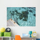 Scale Blue Lagoon Wall Decal