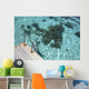 Scale Blue Lagoon Wall Decal
