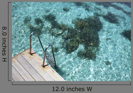 Scale Blue Lagoon Wall Decal