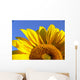 Sunflower Half Close-Up Wall Decal