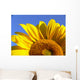 Sunflower Half Close-Up Wall Decal