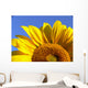 Sunflower Half Close-Up Wall Decal