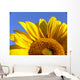Sunflower Half Close-Up Wall Decal