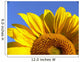 Sunflower Half Close-Up Wall Decal