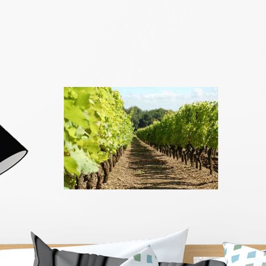 Rang Vigne Wall Decal