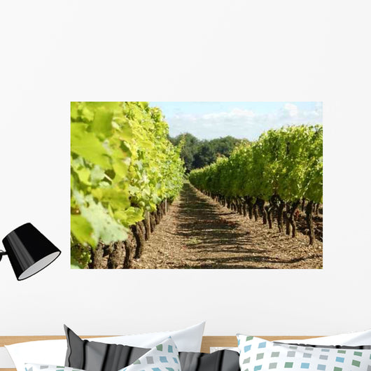 Rang Vigne Wall Decal