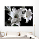 Lilies Close-Up Wall Decal