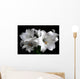 White Lilies on Black Background Wall Decal