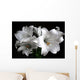 White Lilies on Black Background Wall Decal