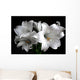 White Lilies on Black Background Wall Decal