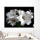 White Lilies on Black Background Wall Decal