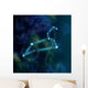 Leo Constellation And Symbol Wall Decal