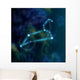 Leo Constellation And Symbol Wall Decal