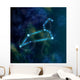 Leo Constellation And Symbol Wall Decal