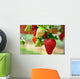 Strawberry Wall Decal