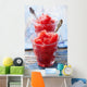 Watermelon Ice Wall Decal
