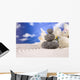 Zen Spa And Relax Wall Decal
