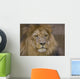 Lion Ii Wall Decal
