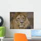 Lion Ii Wall Decal