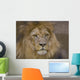 Lion Ii Wall Decal