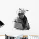 North American Indian Wall Decal