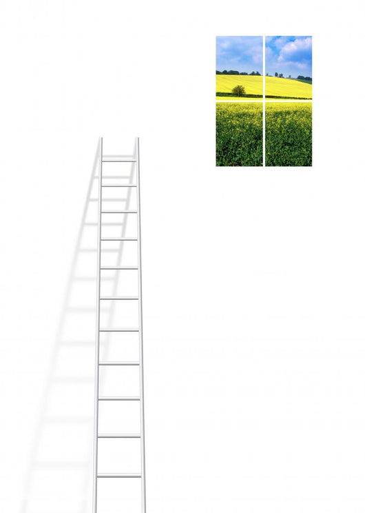 Ladder To Window Wall Decal