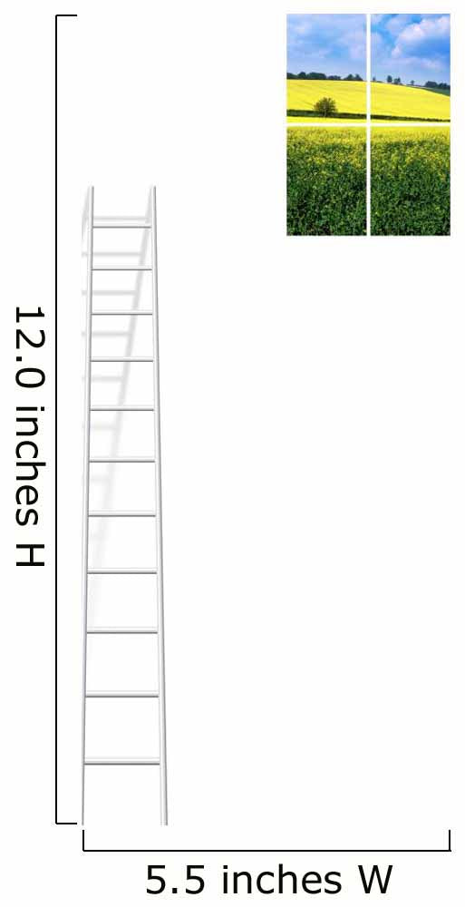 Ladder To Window Wall Decal