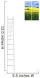 Ladder To Window Wall Decal