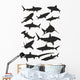 Various Sharks Wall Stickers Wall Decal