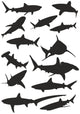 Various Sharks Wall Stickers Wall Decal