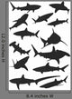 Various Sharks Wall Stickers Wall Decal