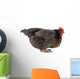 Hen And Eggs Wall Decal