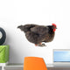 Hen And Eggs Wall Decal
