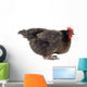 Hen And Eggs Wall Decal