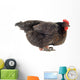 Hen And Eggs Wall Decal