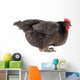 Hen And Eggs Wall Decal