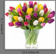 Bunte Tulpen Wall Decal