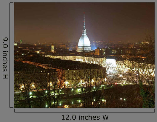 Turin Wall Decal