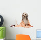 Wet Chocolate Havanese Dog Wall Decal