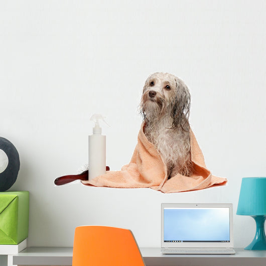 Wet Chocolate Havanese Dog Wall Decal