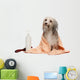 Wet Chocolate Havanese Dog Wall Decal