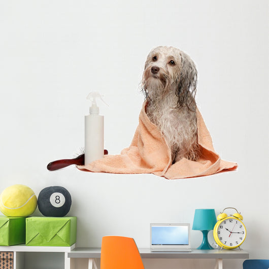 Wet Chocolate Havanese Dog Wall Decal